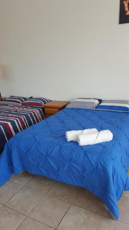 Appartement Xochimilco Hermoso Departamento Loft Junto A Trajineras *